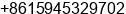 Mobile number of Mr. lei zhang at Mudanjiang