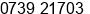 Phone number of Mr. Ir. Resmon Octarina at manna