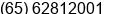 Phone number of Mr. Singtech Team at Singapore